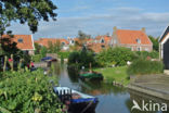 Dokkum