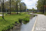 Apeldoorn