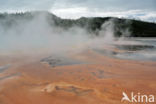 Yellowstone national park