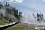 Yellowstone national park