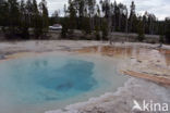 Yellowstone national park