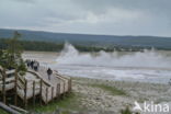 Yellowstone national park