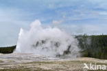 Yellowstone national park