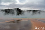 Yellowstone national park