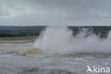 Yellowstone national park