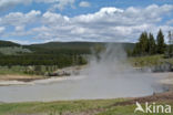 Yellowstone national park