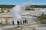 Yellowstone national park