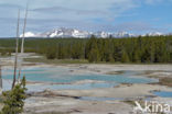 Yellowstone national park