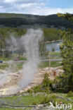 Yellowstone national park