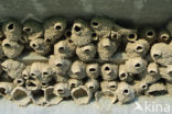 nesting wall