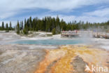 Yellowstone national park
