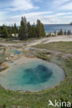 Yellowstone national park