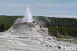 Yellowstone national park