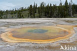 Yellowstone national park