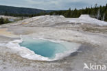 Yellowstone national park