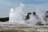 Yellowstone national park