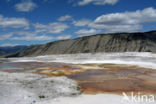 Yellowstone national park