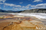 Yellowstone national park