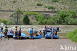 eco-tourism