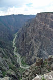 Black Canyon Of The Gunnison National Park