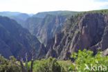 Black Canyon Of The Gunnison National Park