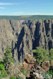 Black Canyon Of The Gunnison National Park