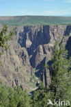 Black Canyon Of The Gunnison National Park