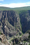 Black Canyon Of The Gunnison National Park