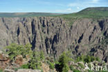 Black Canyon Of The Gunnison National Park