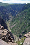 Black Canyon Of The Gunnison National Park