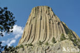 Devils Tower