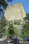 Devils Tower