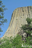 Devils Tower