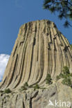 Devils Tower