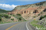 Flaming gorge