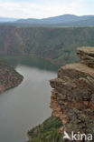 Flaming gorge