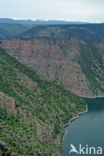 Flaming gorge