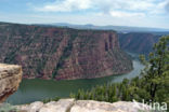 Flaming gorge