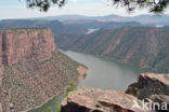 Flaming gorge