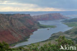 Flaming gorge