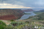 Flaming gorge