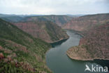 Flaming gorge