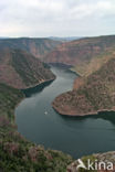 Flaming gorge