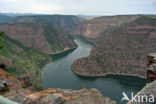Flaming gorge