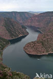 Flaming gorge