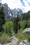 Grand Teton National Park