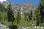 Grand Teton National Park