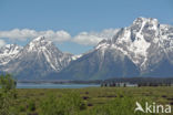 Grand Teton National Park