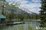 Grand Teton National Park