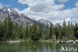 Grand Teton National Park